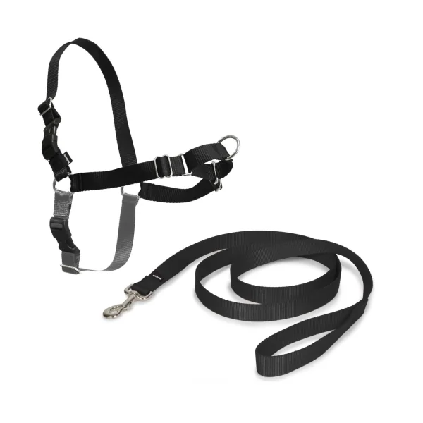 ARNES EASY WALK PEQUEÑO. NEGRO