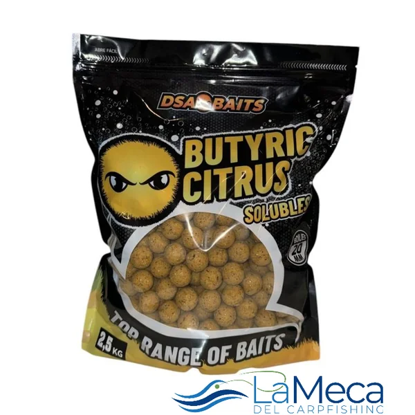BOILIES BUTYRIC CITRUS DSA BAITS 2,5KG