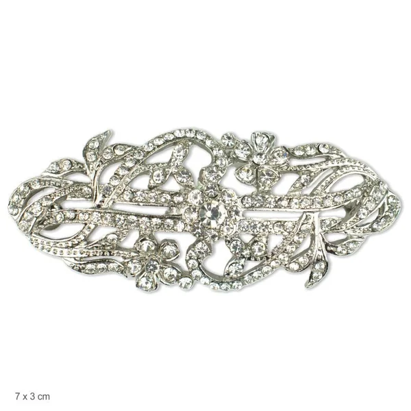 Broche brillante elegante