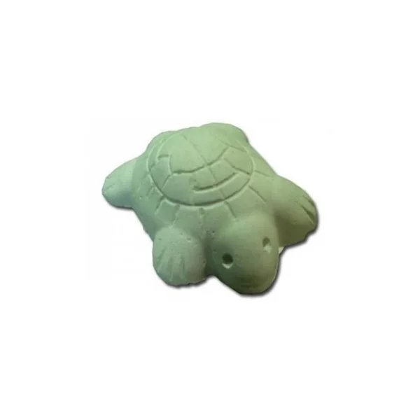 CALCIO TORTUGAS