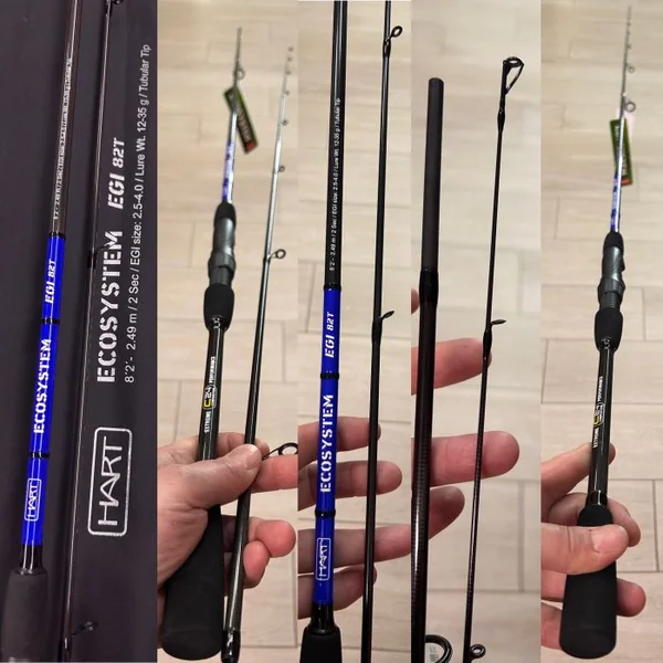 CAÑA HART ECOSYSTEM EGI 82T 2,49MT 2.5-4.0 12-35GR "EGING"
