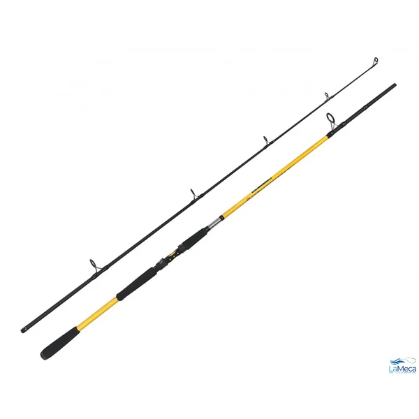 CAčA ZFISH KODIAK 2,40 m/100-250 g