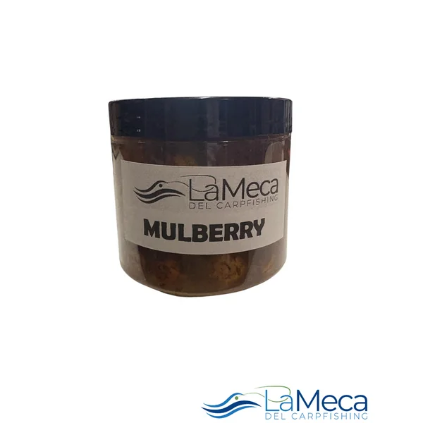 CHUFAS MULBERRY LA MECA BAITS