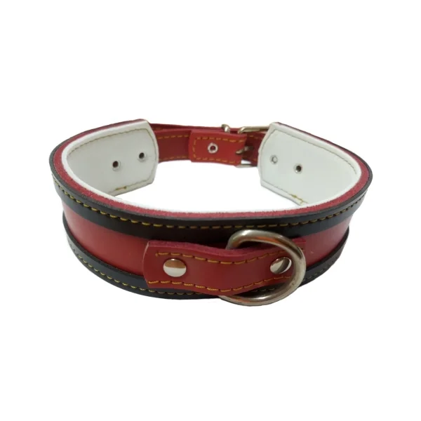 COLLAR GALGO BLANCO BORDE AZUL 40X4CM