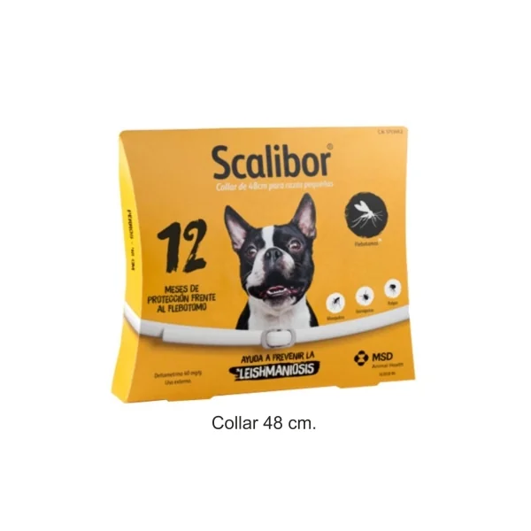 COLLAR SCALIBOR 48 CM. 12 MESES