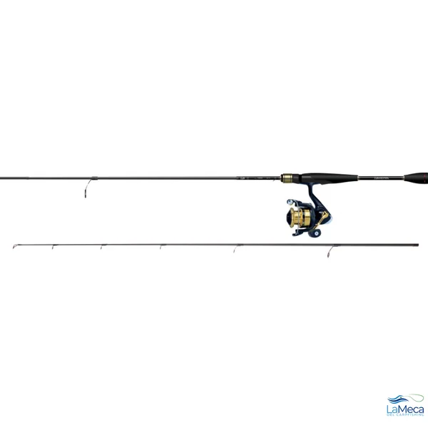 COMBO SPINNING DAIWA 2,13m 14-42gr