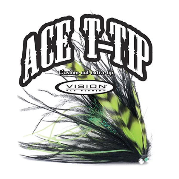 Consejos de Vision ACE