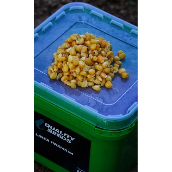 CUBO MAIZ AMARILLO QUALITY SEEDS 6KG