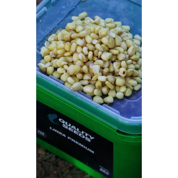 CUBO MAIZ BLANCO QUALITY SEEDS 6KG