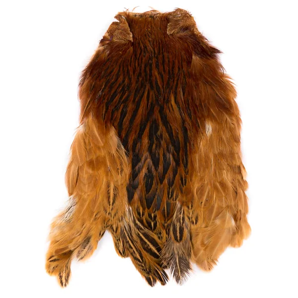 Cuello de gallina Wapsi