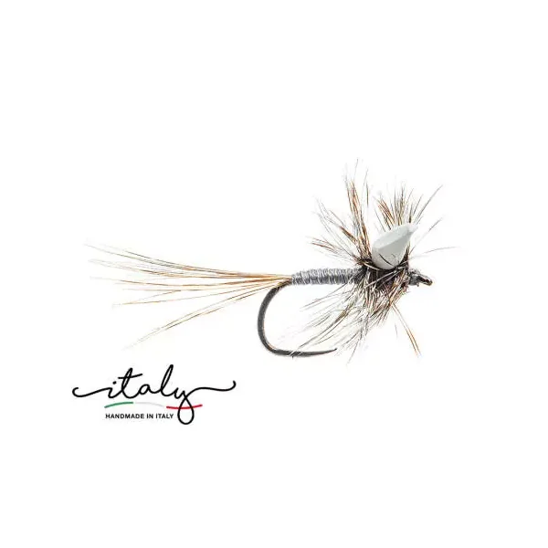 Grey Foamwing Floater mosca seca