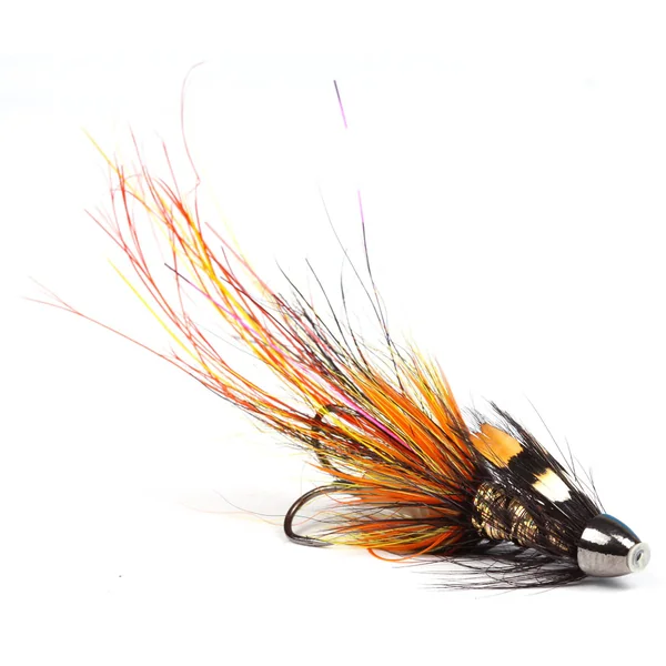 Guideline mosca de tubo Pot Belly Pig Willie Gunn Oro 0,75"