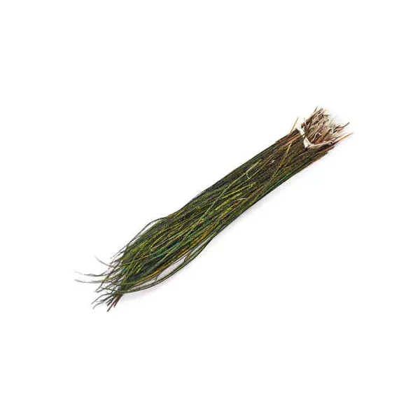 HERL DE PAVO REAL hotfly - 1 g - 15 cm