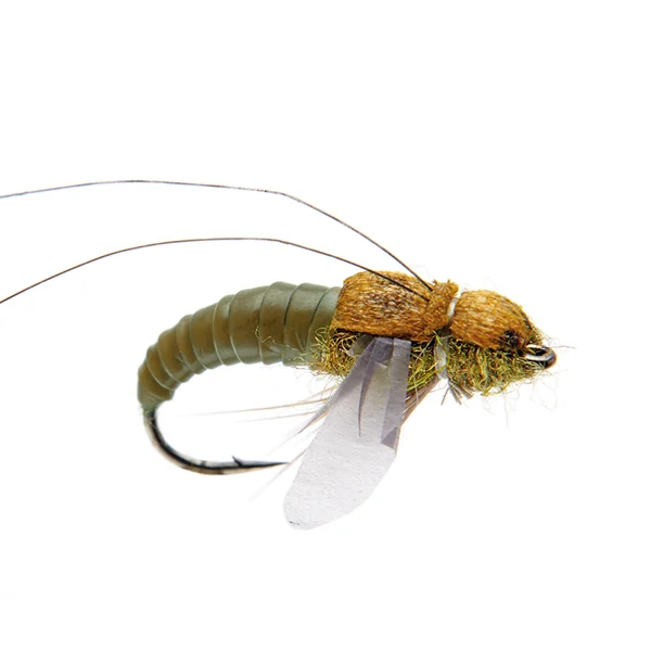 J:son Realistic Flies - Caddis Pupa marrón oliva