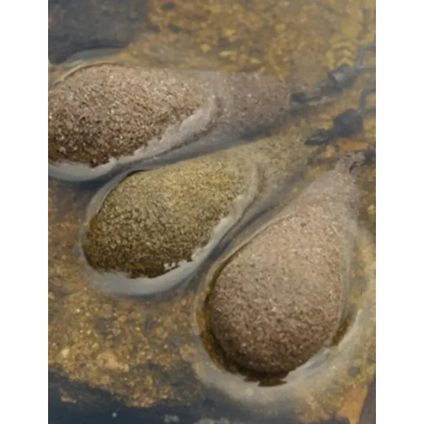 Korda Flat Pear Inline Textured 3oz/84gr - Imagen 3