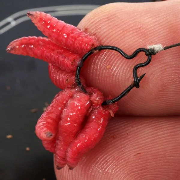 Korda Maggot Klip-M - Imagen 4