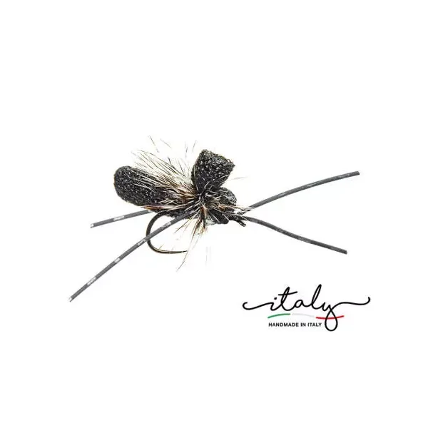 Large Black Legged Foam Ant hormiga