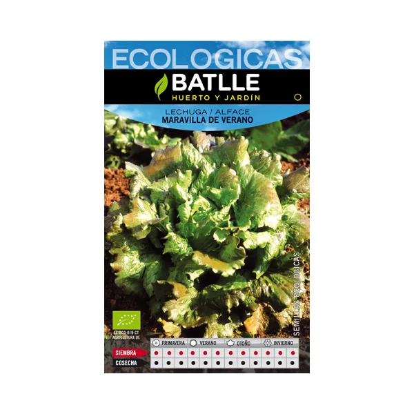 LECHUGA MARAVILLA DE VERANO- ECO