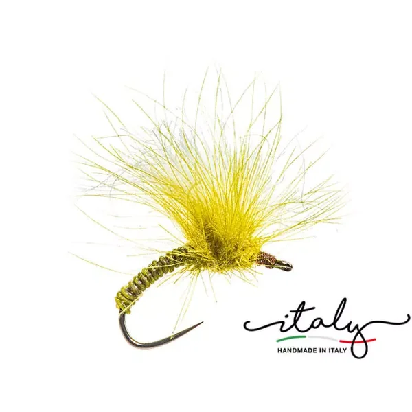 Morgans Fat Olive Beast mosca seca