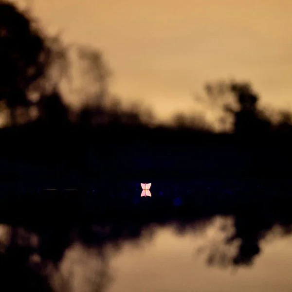 Nash Spot On Balsa Marker Float Large - Imagen 7