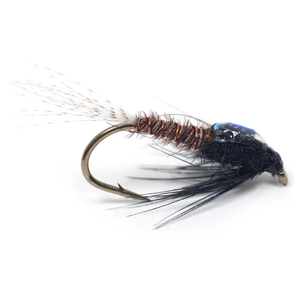 Ninfa Guideline - DK Marrón Flashback PTN