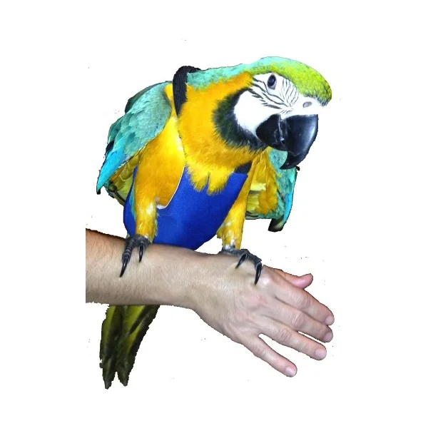 PAÑAL PARA GUACAMAYO
