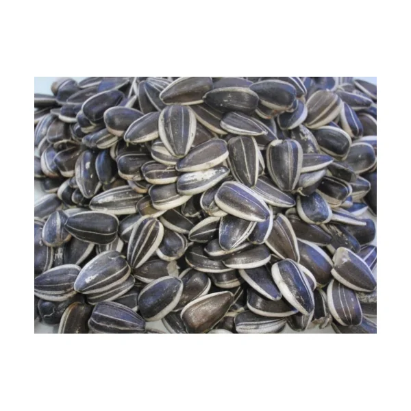 PIPAS GIRASOL USA 10 Kg.