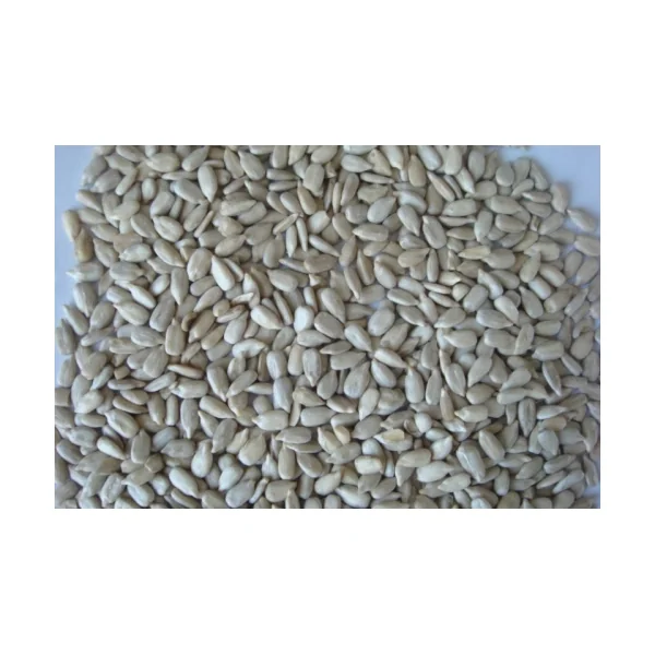 PIPAS PELADAS 500 GRAMOS. TARRINA PRODAC