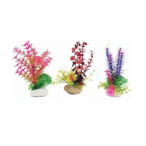 PLANTA ROCK 20 cm.