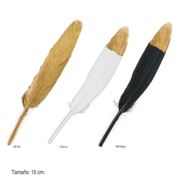 Pluma pintada Pato
