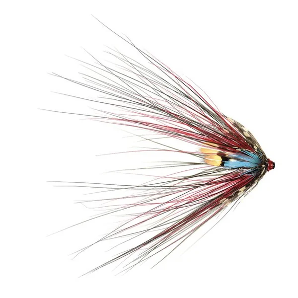 Plumas de pintada Soldarini - Imagen 3