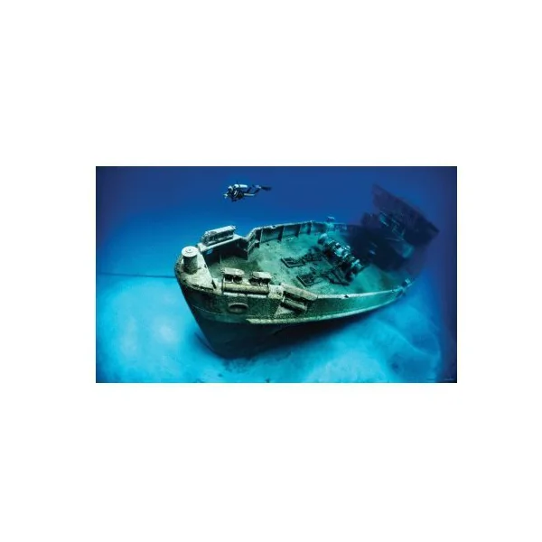POSTER VINILO PECIO 61x40cm.