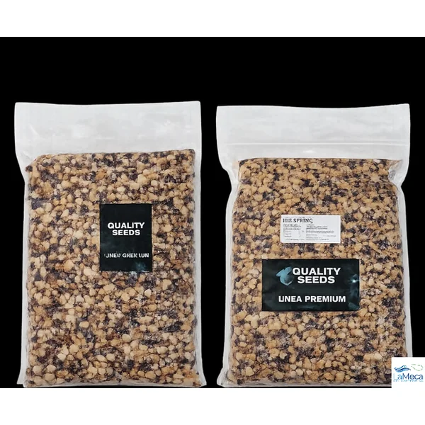SEMILLA MIX SPING BLANCO EN BOLSA DE 5KG