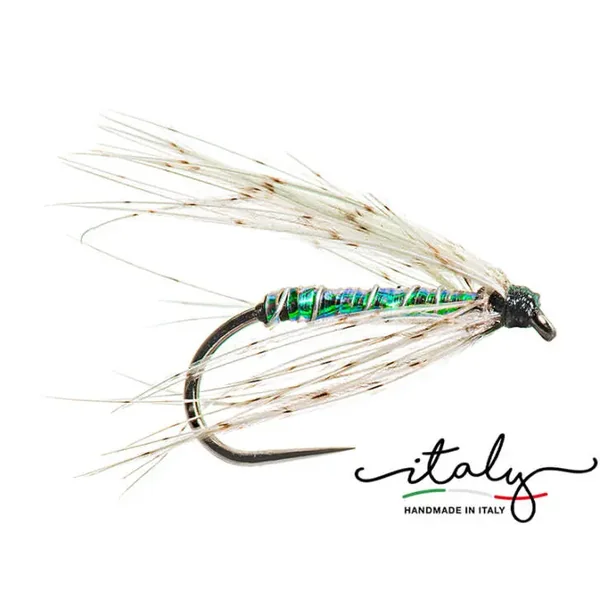 Shiny Partridge Grayling Predator mosca agohada