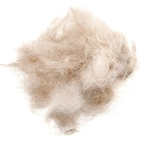 Soldarini Doblaje de oreja de liebre