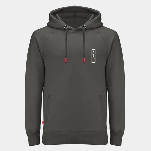 Sudadera con capucha - Rising Sun - Gris - Imagen 2