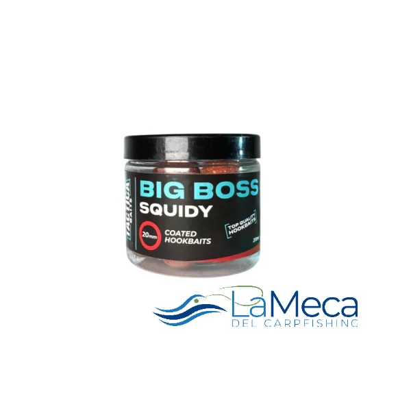 THE BIG BOOS SQUIDY HOOKBAITS 20 MM 200ML