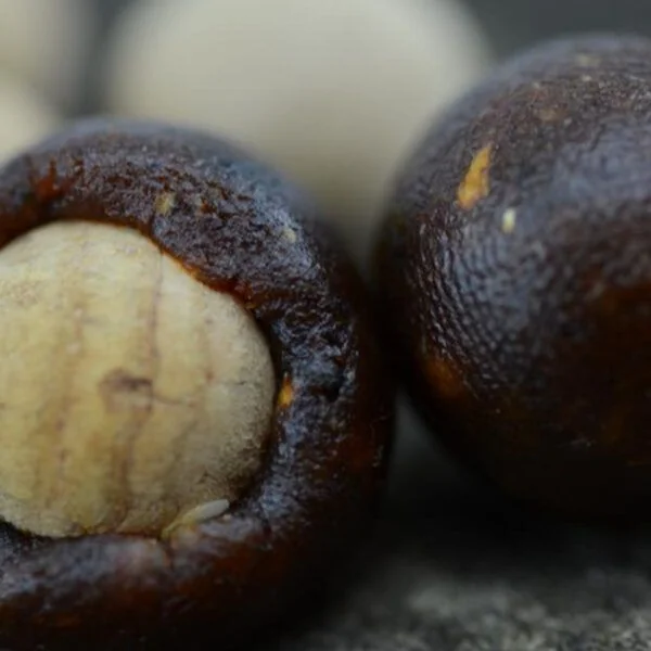 Thinking Anglers Cork Balls 10mm - Imagen 3