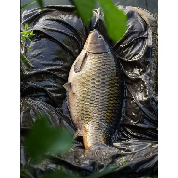 Thinking Anglers Moqueta Camfleck - Imagen 4