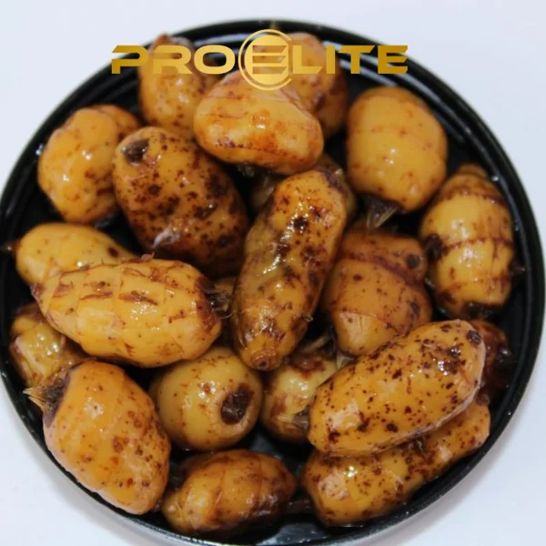 TIGERNUT XXL KRILL CRAB PROELITE BAITS - La Nave del Pescador - Imagen 2