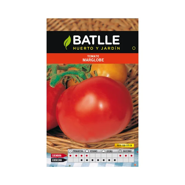 TOMATE MARGLOBE