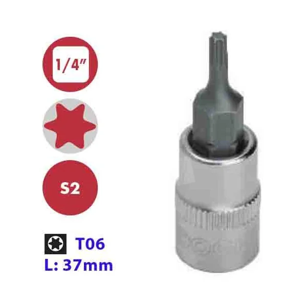 VASO CON PUNTA S2 TORX 1/4" T06