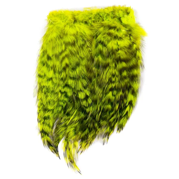 Wapsi Barred Strung Neck Hackle