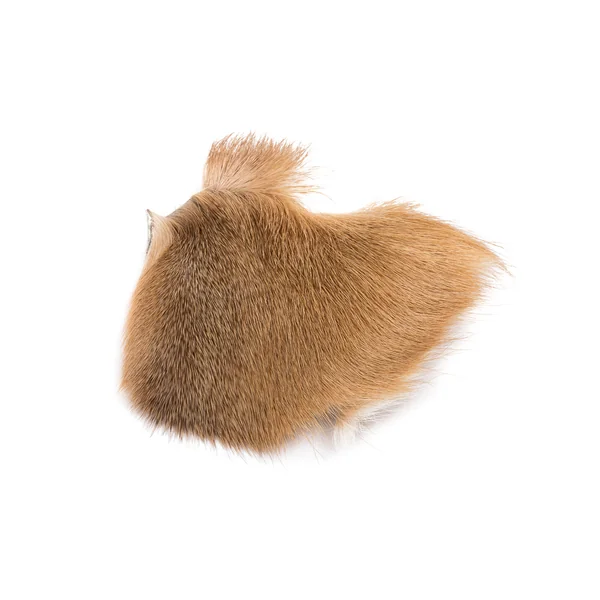 Wapsi Deer Hock pelo de ciervo