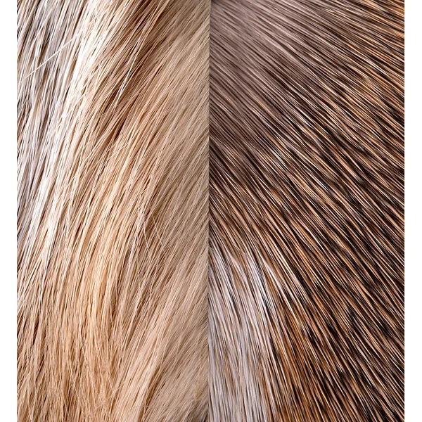 Wapsi Deer Hock pelo de ciervo - Imagen 2