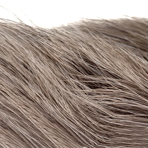 Wapsi Moose Hock natural - Piel de alce - Imagen 2