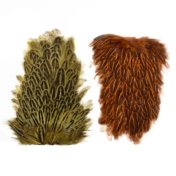Wapsi Soft Hackle Gallina Saddle Patch - Imagen 2