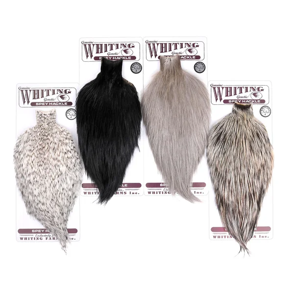 Whiting Silver Spey Hackle Cabo